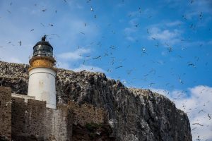 Bass Rock Lighthouse by BELLA FALK