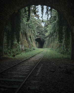 La Petite Ceinture by Paul Harris