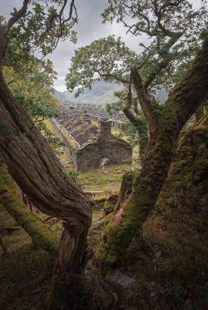 Dinorwic quarry  by Paul Harris